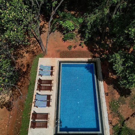 Isanka Lion Lodge Сигирия Екстериор снимка