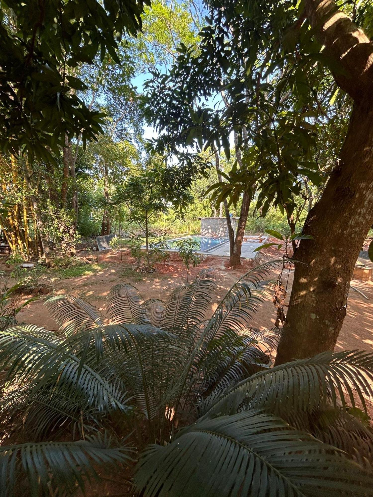 Isanka Lion Lodge Сигирия Екстериор снимка