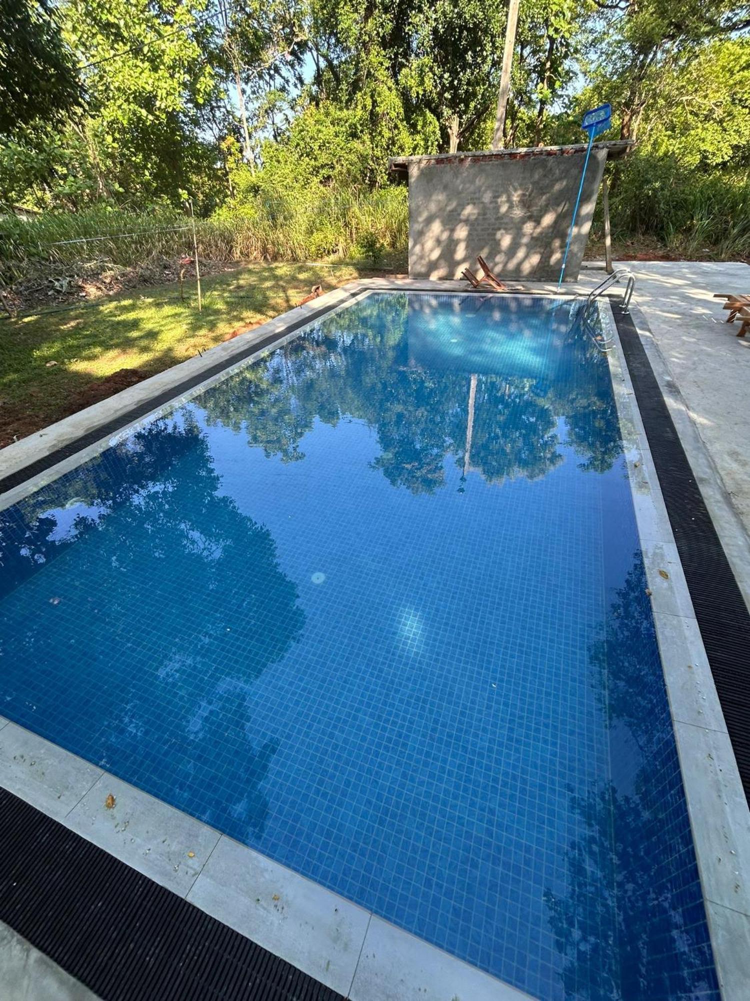 Isanka Lion Lodge Сигирия Екстериор снимка