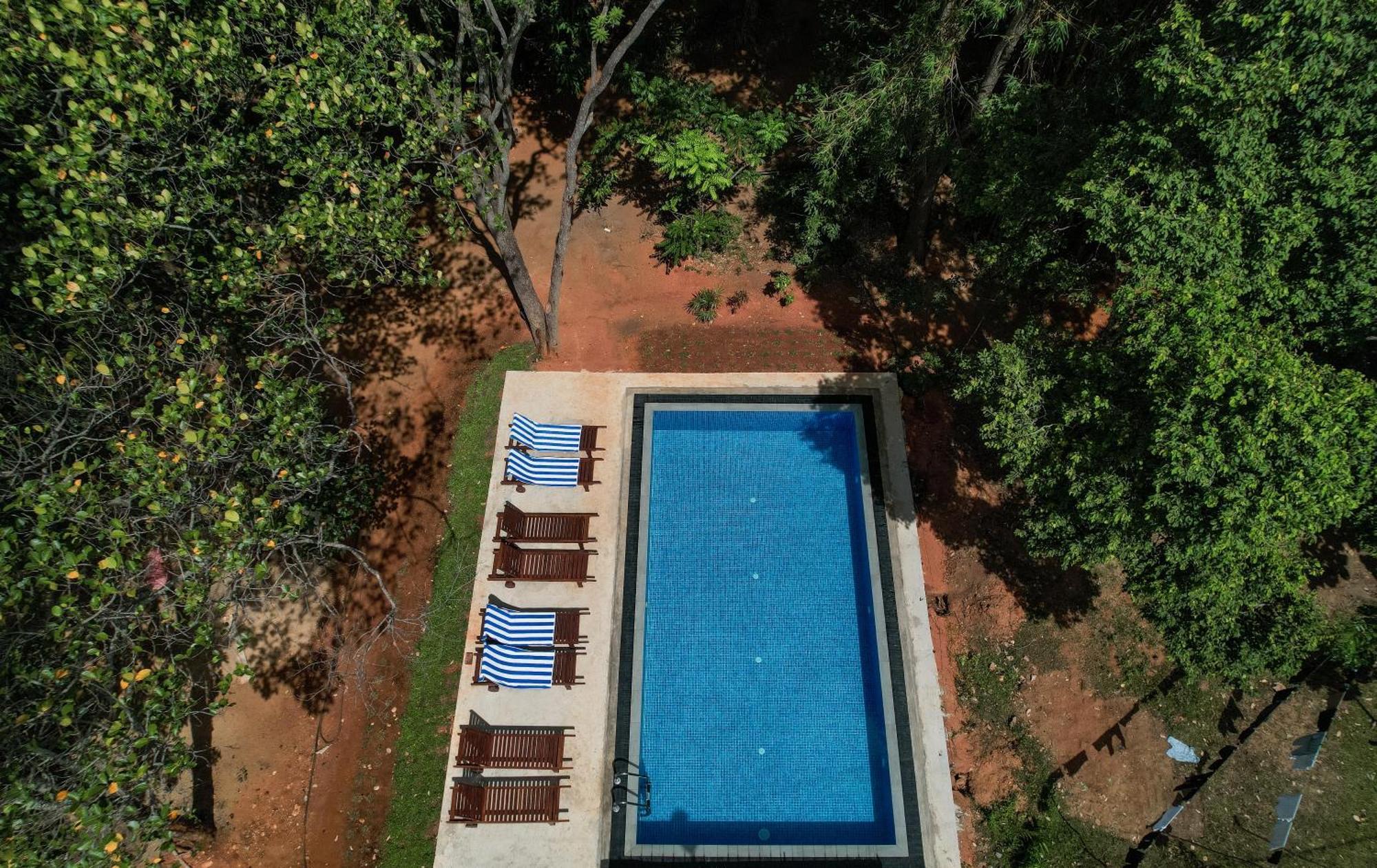 Isanka Lion Lodge Сигирия Екстериор снимка