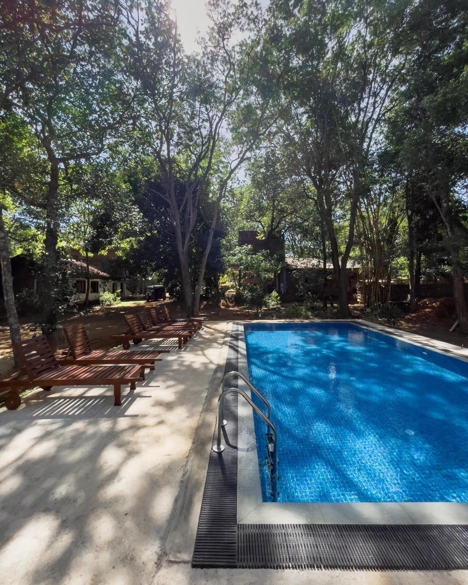 Isanka Lion Lodge Сигирия Екстериор снимка